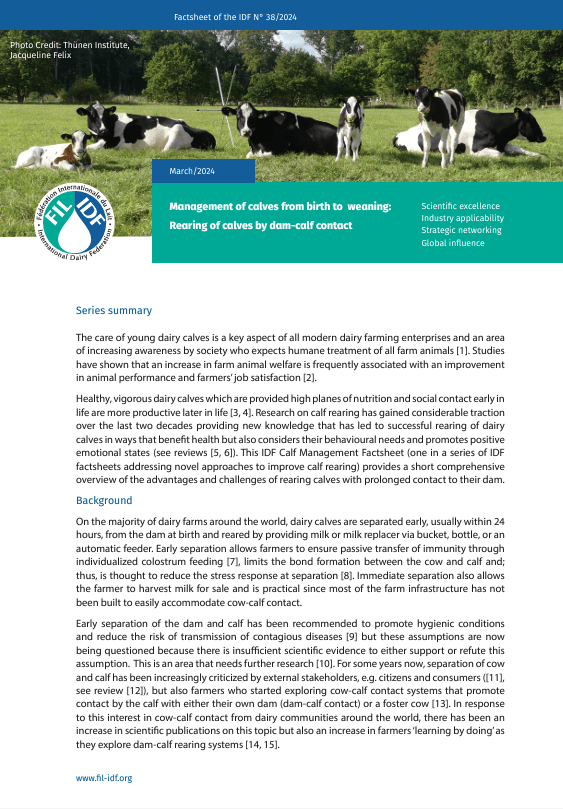 Factsheet of the IDF N° 38/2024: Management of calves from birth to weaning: Rearing of calves by dam-calf contact - FIL-IDF
