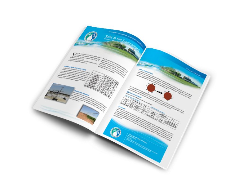 Salts and the Environment - IDF Factsheet 1 - FIL-IDF